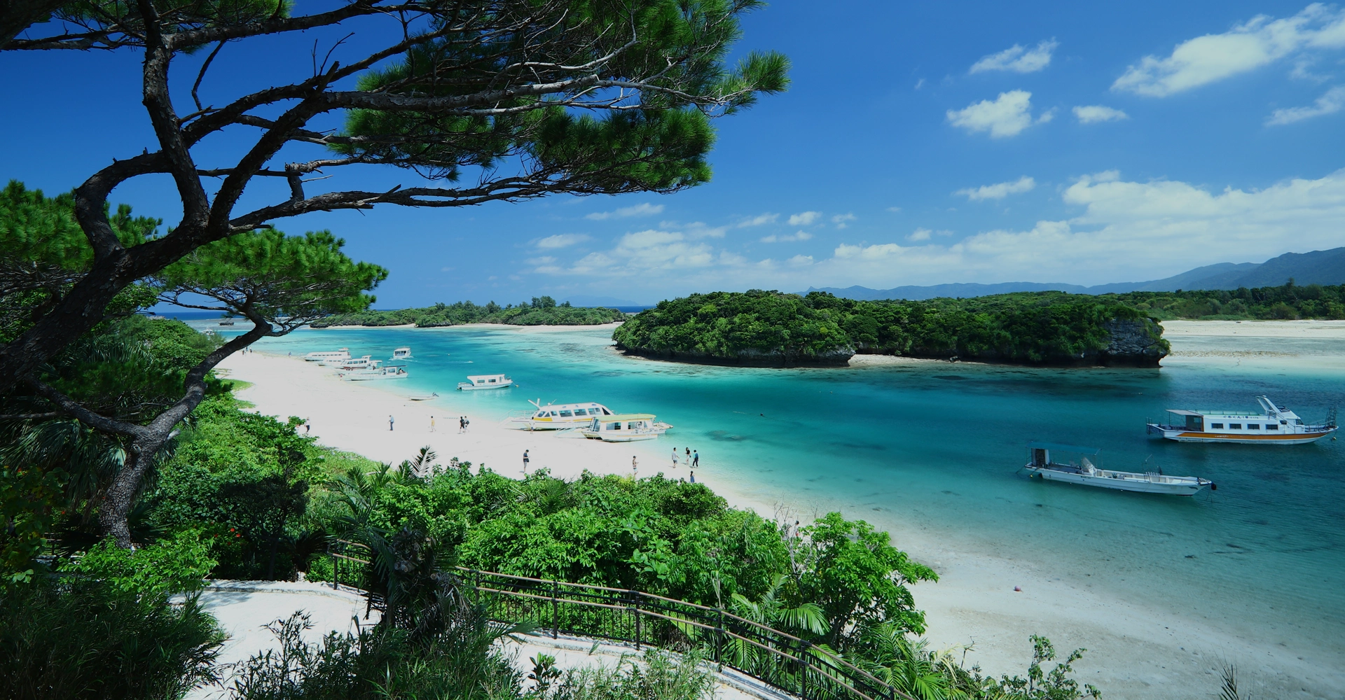 Journey through The rising sun