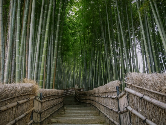 Kyoto ancient capital of defined culture