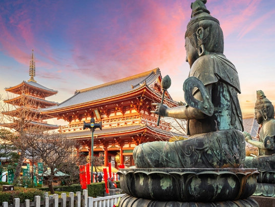 Tokyo metropolis of neon and tradition